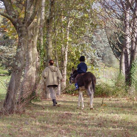 Podere La Piana Fivizzano Bagian luar foto