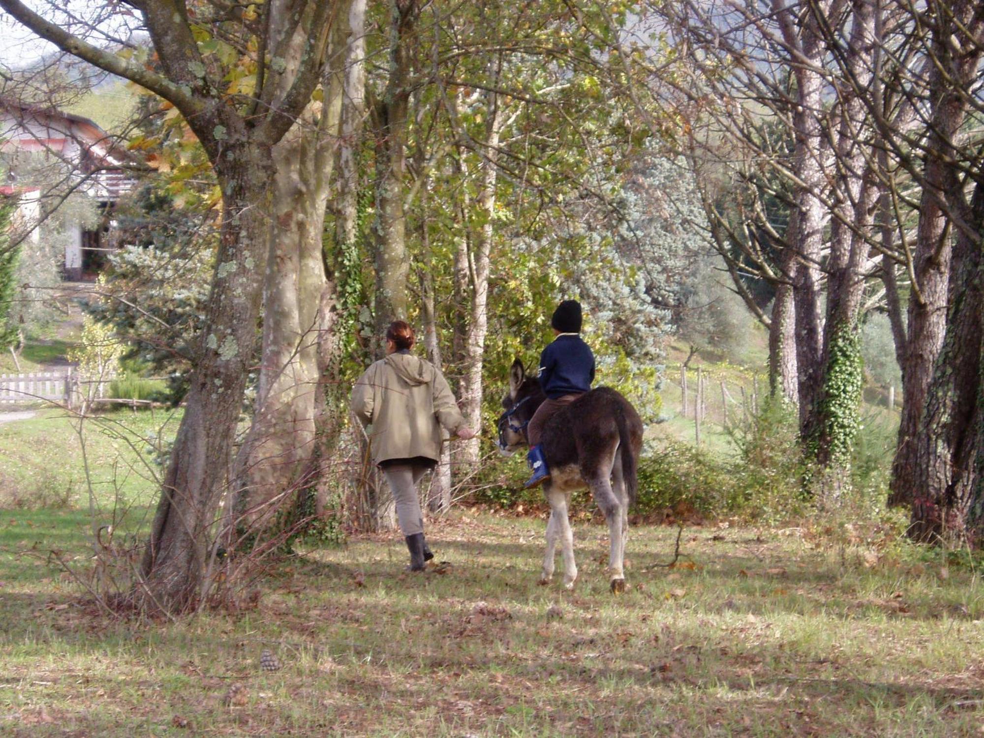 Podere La Piana Fivizzano Bagian luar foto